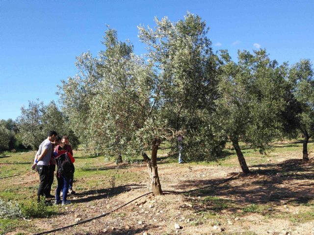 Agricultura participa en la 'Conferencia europea sobre Xylella fastidiosa' celebrada en Palma de Mallorca - 2, Foto 2