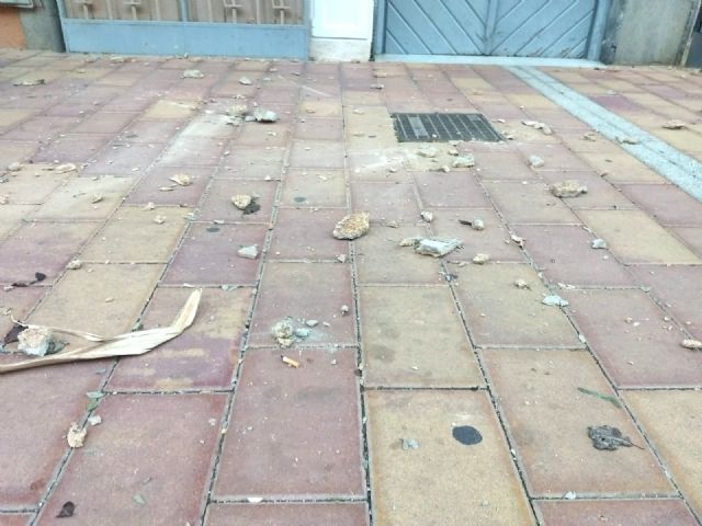 IU denuncia un nuevo desprendimiento de fachada que pone en peligro la seguridad de los peatones - 1, Foto 1