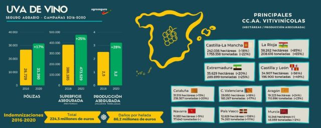 La producción de uva de vino protegida por el seguro agrario en España crece un 28% en los últimos cinco años, y supera los 3,2 millones de toneladas - 1, Foto 1