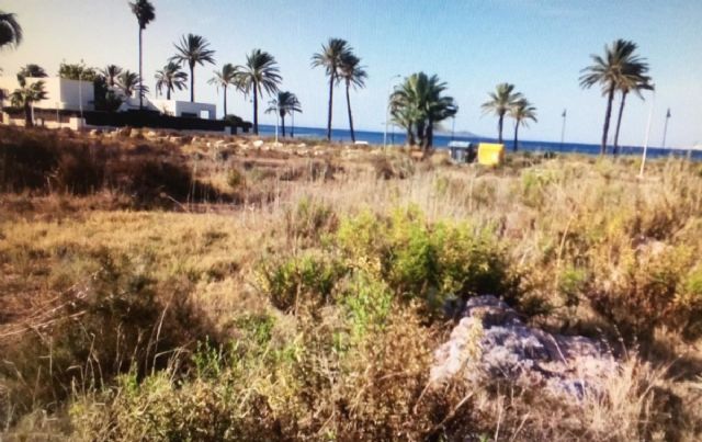 El Ayuntamiento lleva a cabo cuatro limpiezas subsidiarias en solares del municipio - 1, Foto 1