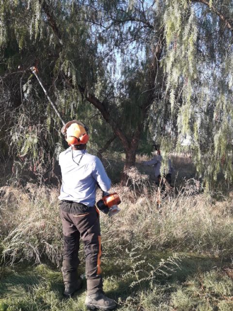 Acondicionamiento de antiguos meandros - 2, Foto 2