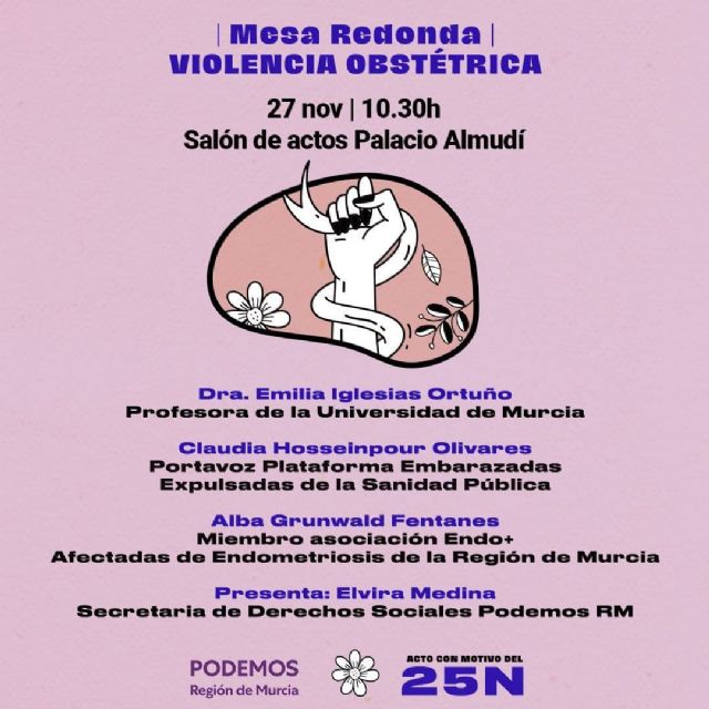 Unidas Podemos celebra este fin de semana actos sobre el lenguaje inclusivo y la violencia obstétrica para conmemorar el 25N - 2, Foto 2