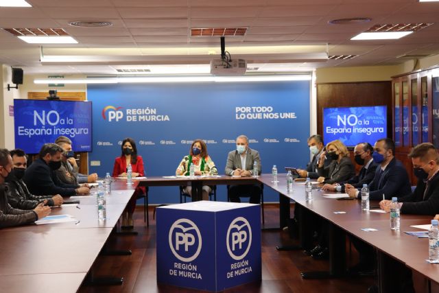 Borrego: La reforma de la Ley de Seguridad Ciudadana es un ataque a las Fuerzas y Cuerpos de Seguridad del Estado - 2, Foto 2