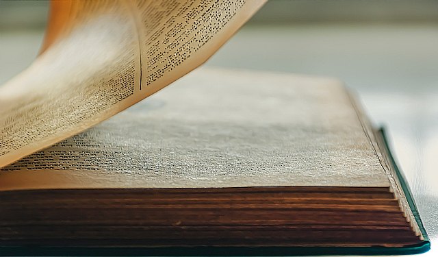 Un centenar de editoriales españolas estarán presentes en la feria de Guadalajara - 1, Foto 1