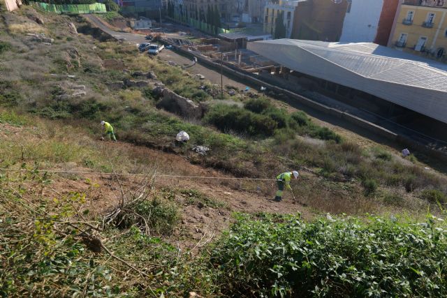 El Ayuntamiento de Cartagena restaura el talud del Molinete con especies autóctonas - 1, Foto 1