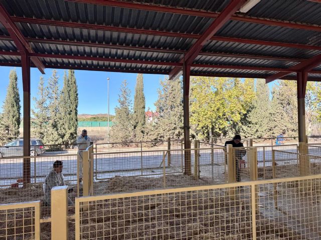 El Ayuntamiento de Puerto Lumbreras pone a punto el Mercado Comarcal del Ganado de cara a la celebración de la Feria del Ganado Equino, este fin de semana - 2, Foto 2