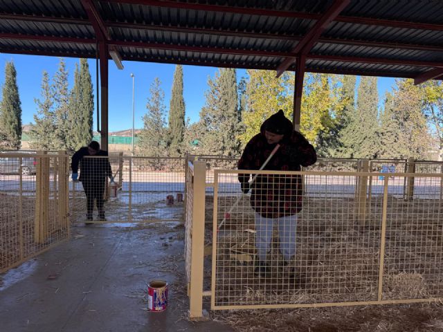 El Ayuntamiento de Puerto Lumbreras pone a punto el Mercado Comarcal del Ganado de cara a la celebración de la Feria del Ganado Equino, este fin de semana - 3, Foto 3