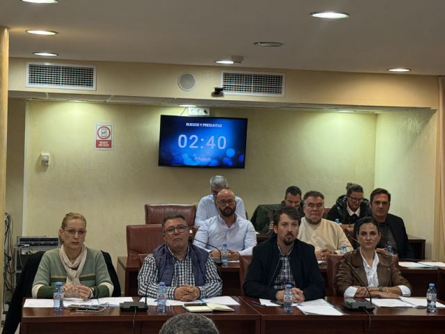 El Partido Popular consigue que el equipo de Gobierno ponga el foco de atención en el Paseo de la Colonia - 1, Foto 1