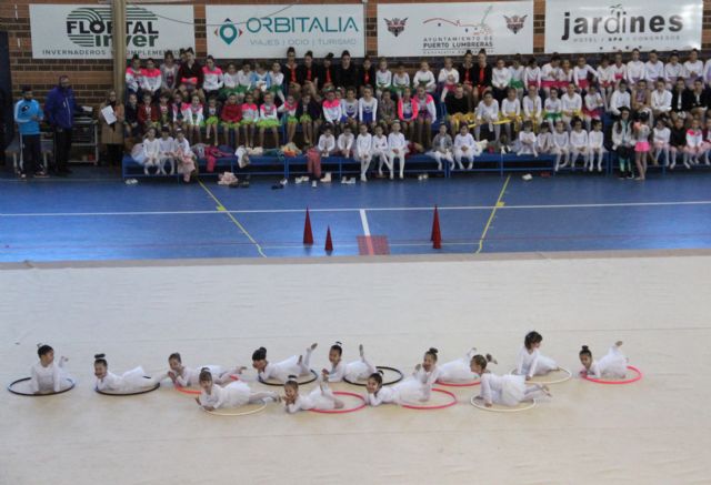 Exhibición de gimnasia rítmica en el Centro Deportivo de Puerto Lumbreras - 2016 - 2, Foto 2