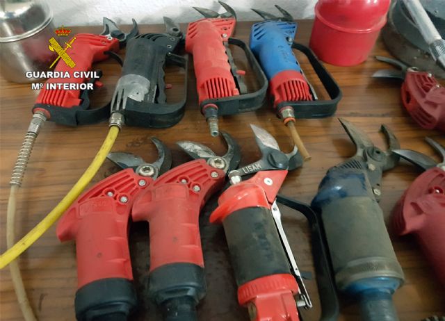 La Guardia Civil esclarece una treintena de robos cometidos en viviendas de Jumilla - 5, Foto 5