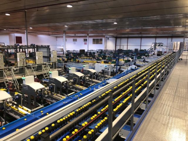 AGRIOS EL CARRIL invierte dos millones de euros en ampliar su capacidad productiva y mejorar la comercialización - 2, Foto 2