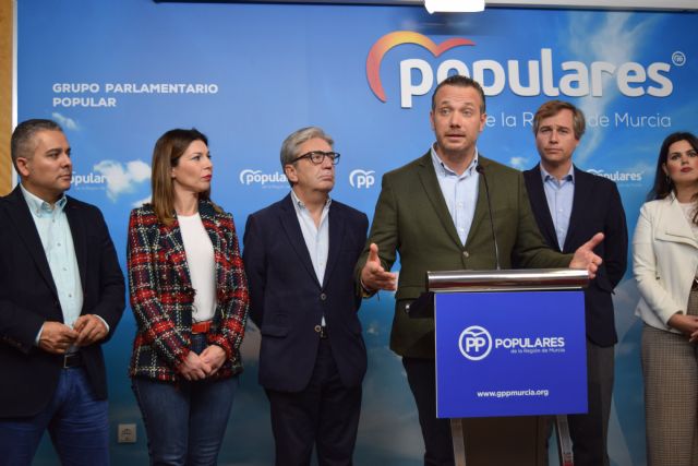 Segado:  EL PSOE ha querido imponer en 48 horas lo que el resto de partidos hemos trabajado con la sociedad, durante tres meses, para tener el mejor decreto ley - 1, Foto 1
