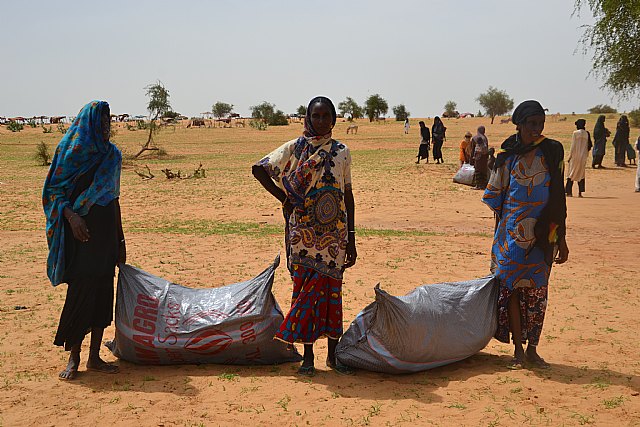 Distribuciones de emergencia en Níger para las personas desplazadas - 1, Foto 1