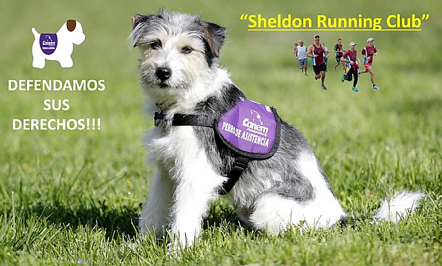 Nuevo Club de Atletismo “Sheldon Running Club” - 1, Foto 1