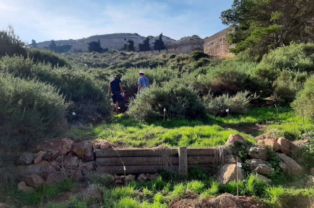Ciudad Sostenible subvenciona con 10.000 euros seis proyectos de reforestación en el municipio de Cartagena - 1, Foto 1
