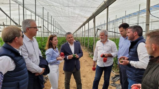 El PP exige a Sánchez reducir al 50% el precio de los términos de potencia y energía a aplicar a las empresas agrícolas y ganaderas - 1, Foto 1