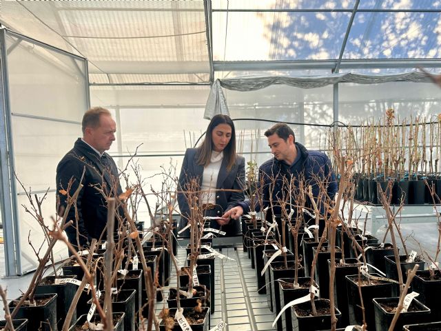 La Comunidad impulsa un nuevo invernadero de bioseguridad en el IMIDA que refuerza el apoyo a la vitivinicultura - 2, Foto 2
