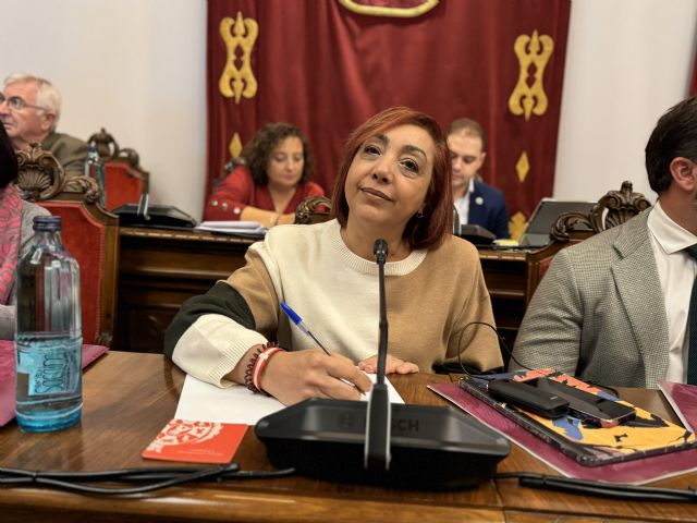 MC denuncia el modelo fallido de comercio de Arroyo y reivindica la defensa del sector - 2, Foto 2