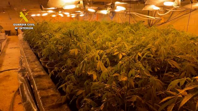 Desmantelan en Cieza un grupo delictivo juvenil que dirigía una nave industrial reconvertida a invernadero de marihuana - 5, Foto 5