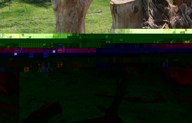 Terra Natura Murcia ultima su incorporación a la Asociación Europea de Zoológicos - 1, Foto 1