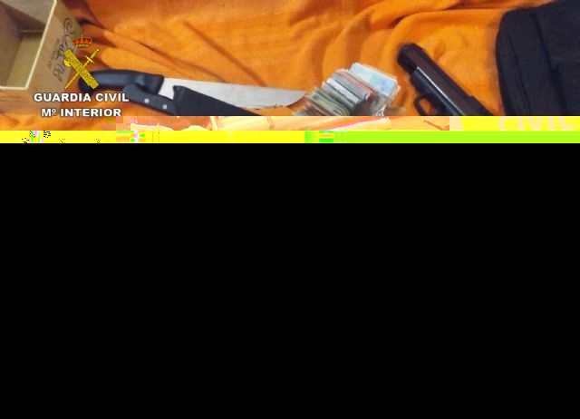 La Guardia Civil desmantela una peligrosa organización criminal dedicada al tráfico de drogas en Murcia - 2, Foto 2