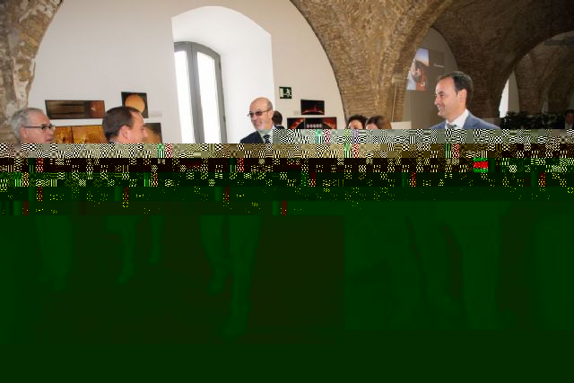 La Región de Murcia, pionera en proyectos para la transformación digital de las industrias - 1, Foto 1