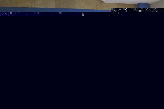 El Info colabora con Astrapace en un proyecto para la formación y el empleo de personas con parálisis cerebral - 1, Foto 1