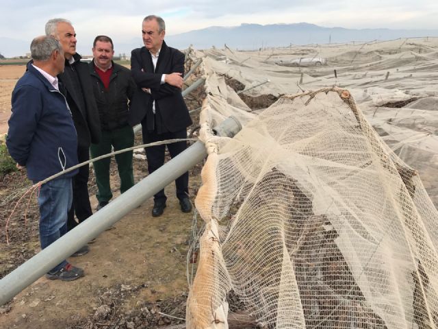 El PSOE propone una línea directa de subvenciones para los agricultores afectados por las nevadas en una moción presentada en la Asamblea Regional, Foto 1