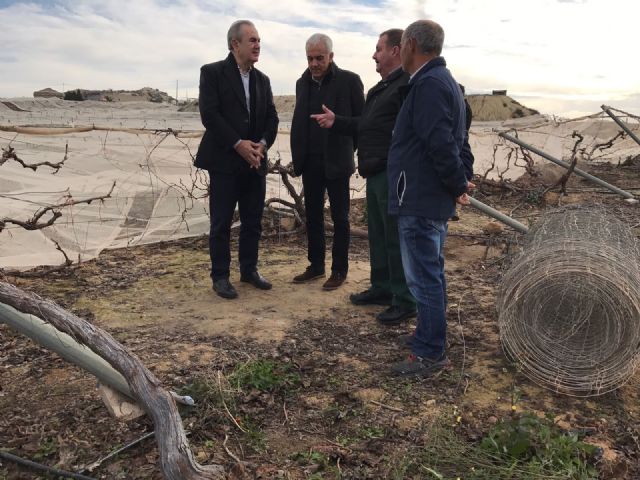 El PSOE propone una línea directa de subvenciones para los agricultores afectados por las nevadas en una moción presentada en la Asamblea Regional, Foto 2