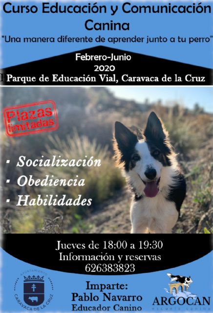 Abierto el plazo para participar en el I Curso de Educación y Comunicación Canina, promovido por la Concejalía de Protección Animal e impartido por la escuela ´Agrocán´ - 1, Foto 1