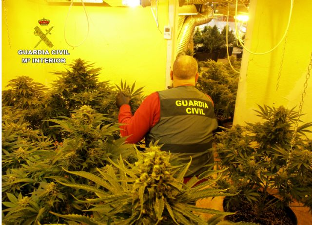 La Guardia Civil desmantela en San Javier un grupo delictivo dedicado al tráfico de droga - 2, Foto 2