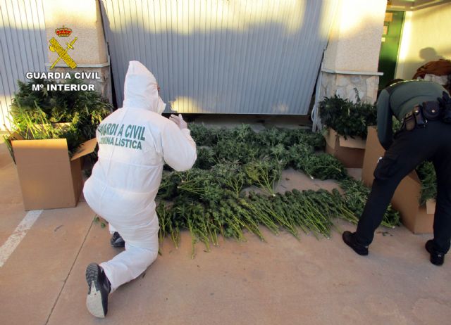 La Guardia Civil desmantela en San Javier un grupo delictivo dedicado al tráfico de droga - 4, Foto 4