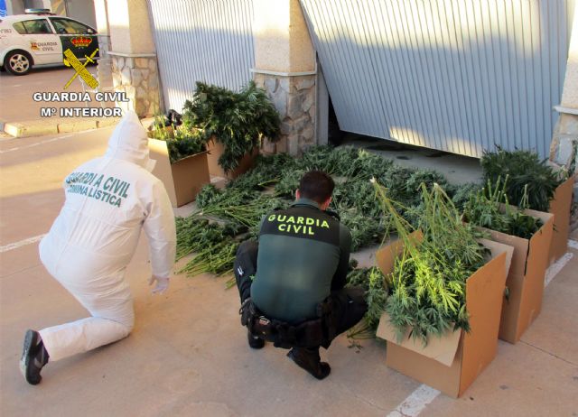 La Guardia Civil desmantela en San Javier un grupo delictivo dedicado al tráfico de droga - 5, Foto 5