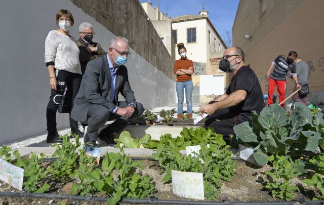 Más de 7.000 escolares de 47 colegios del municipio se implican en el cuidado de los huertos escolares - 1, Foto 1