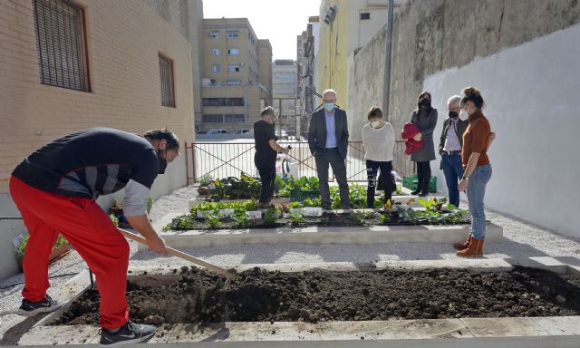 Más de 7.000 escolares de 47 colegios del municipio se implican en el cuidado de los huertos escolares - 3, Foto 3