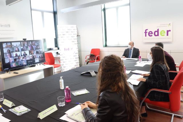 Su Majestad la Reina conoce la estrategia trasversal frente a la vulnerabilidad que implantará FEDER, Foto 2