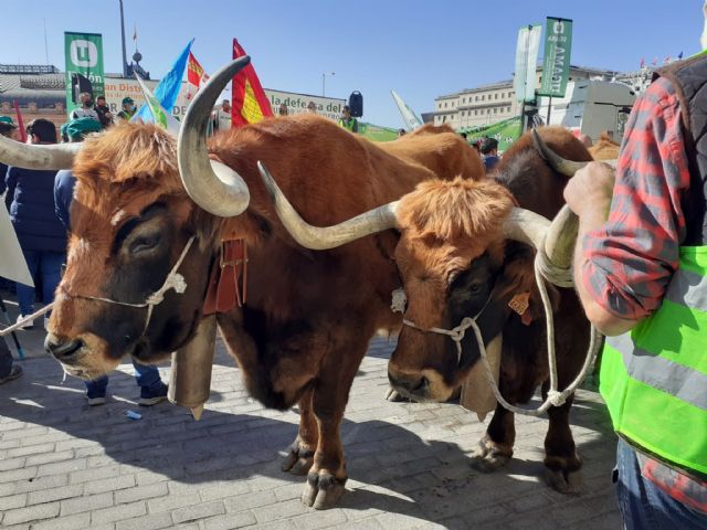 El sector lácteo reclama en Madrid contundencia contra los abusos de industria y distribución - 1, Foto 1