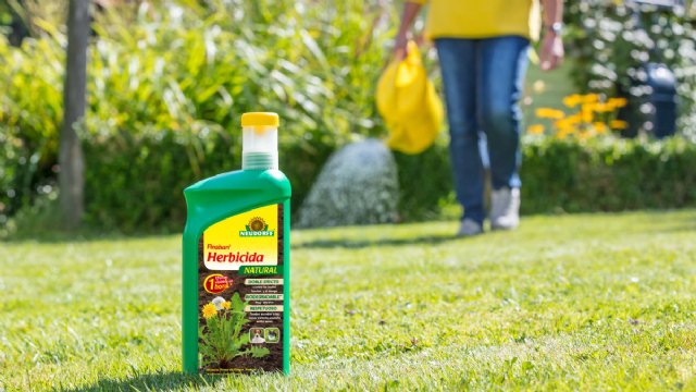 Haga frente al musgo en el césped de forma rápida y cuidadosa - 1, Foto 1