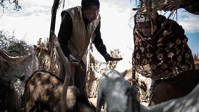  ©Lys Arango. Trabajador de Acción contra el Hambre apoyando las poblaciones locales de Diffa  (Níger), una zona especialmente afectada por la inseguridad que ha provocado desplazamientos masivos de poblaciones., Foto 1