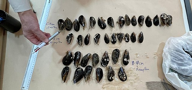 CONSUMUR denuncia la pasividad del Servicio de Inspección de la Región de Murcia ante la publicidad engañosa en el etiquetado de los mejillones en malla de Mercadona - 1, Foto 1