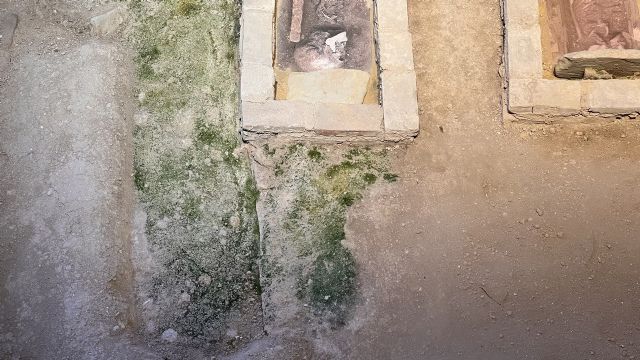 Huermur denuncia que las humedades y el verdín se apoderan del centro de visitantes de la muralla de Santa Eulalia - 1, Foto 1