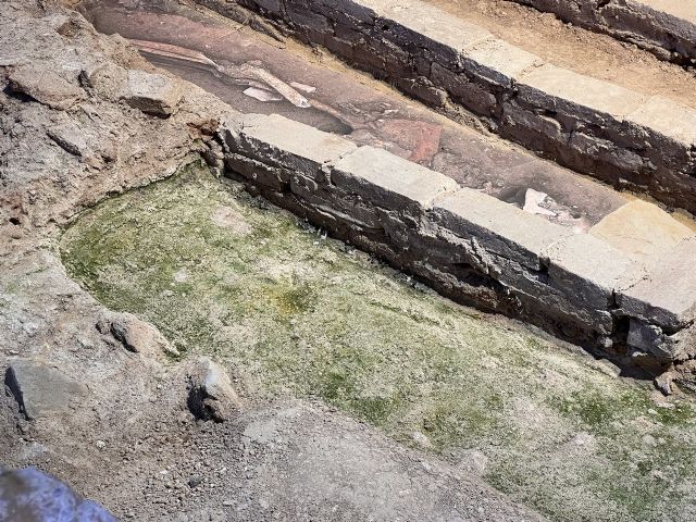 Huermur denuncia que las humedades y el verdín se apoderan del centro de visitantes de la muralla de Santa Eulalia - 4, Foto 4