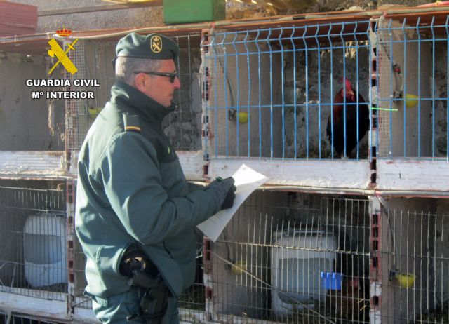 La Guardia Civil investiga a un vecino de Caravaca de la Cruz por maltrato animal - 2, Foto 2