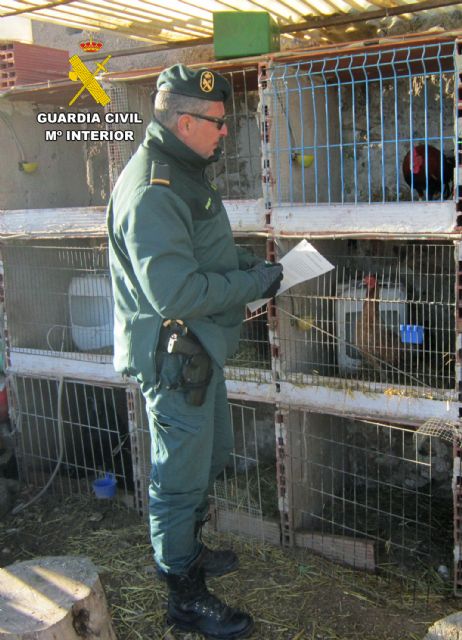La Guardia Civil investiga a un vecino de Caravaca de la Cruz por maltrato animal - 3, Foto 3