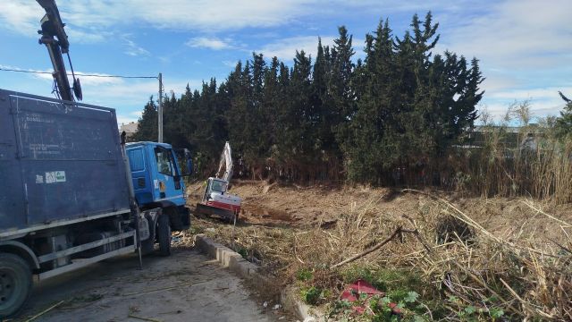 El Ayuntamiento de Murcia continúa con la limpieza del tramo urbano de la Rambla del Garruchal y pide a la CHS que haga lo propio en el resto - 3, Foto 3