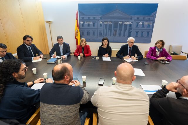 El PP pedirá apoyo en el Congreso y Senado para garantizar un plan de recolocación y el futuro industrial de SABIC en Cartagena - 3, Foto 3