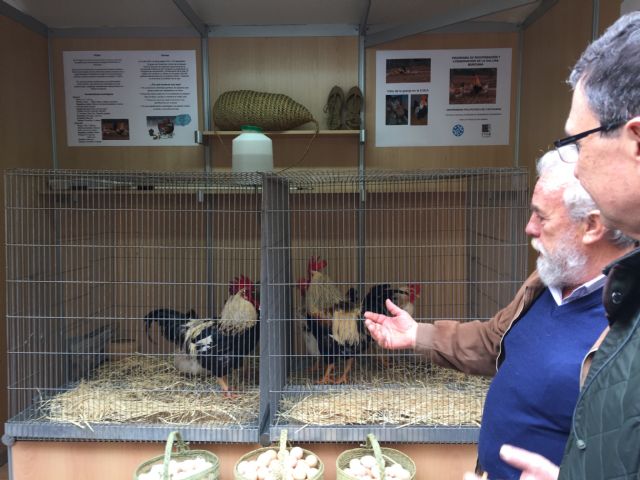 La gastronomía y las tradiciones de la Huerta se instalan este fin de semana en el entorno de la Catedral - 2, Foto 2