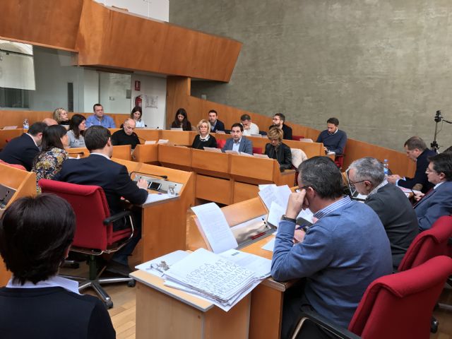 Balance de votaciones del pleno ordinario del Ayuntamiento de Lorca correspondiente al mes de febrero - 1, Foto 1