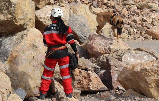 The Canine Civil Protection Unit in Totana participates in the III Cynological Workshop on Search, Rescue and Detection, Foto 6