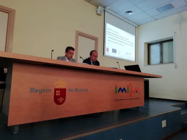 El IMIDA estudia cómo combatir la plaga de la avispilla del almendro mediante un proyecto de investigación - 1, Foto 1